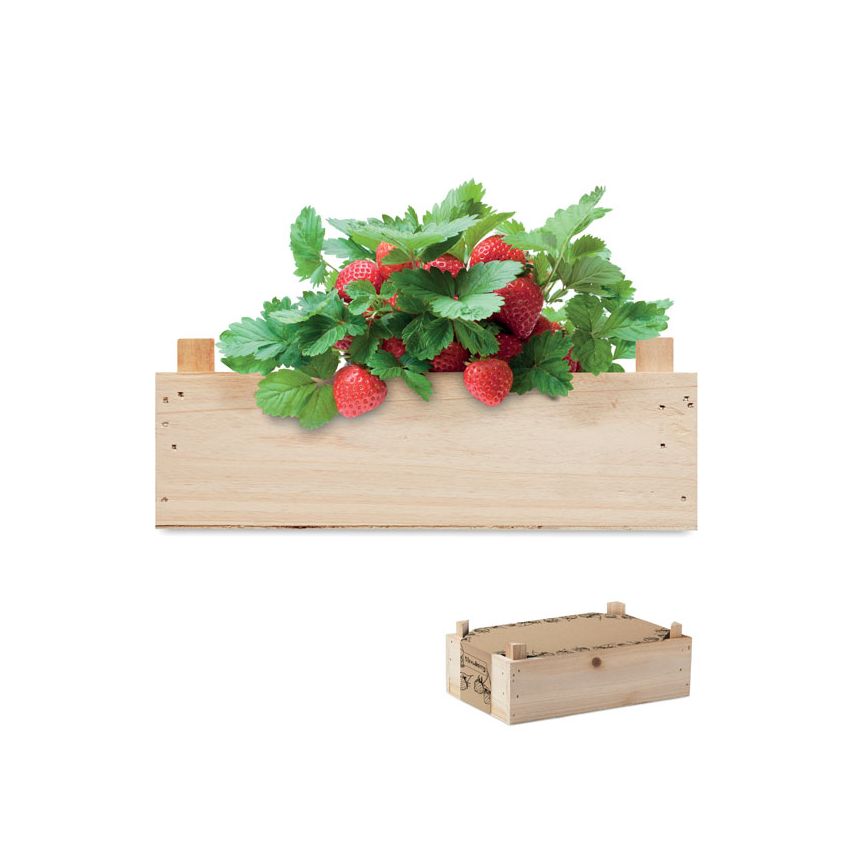 Strawberry kit wooden box