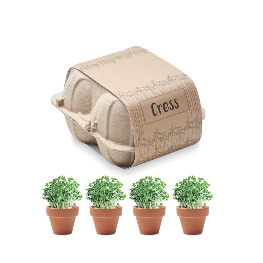 Egg carton growing kit