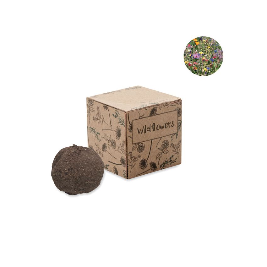 Seed Bomb Growing Kit