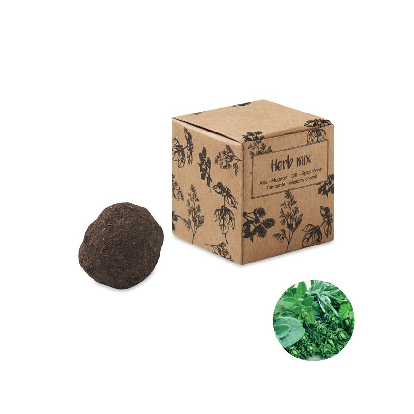 Herb seed kit