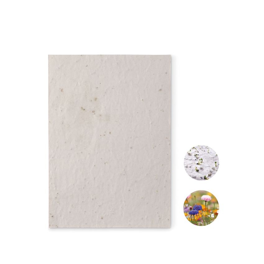 A5 flower seed paper