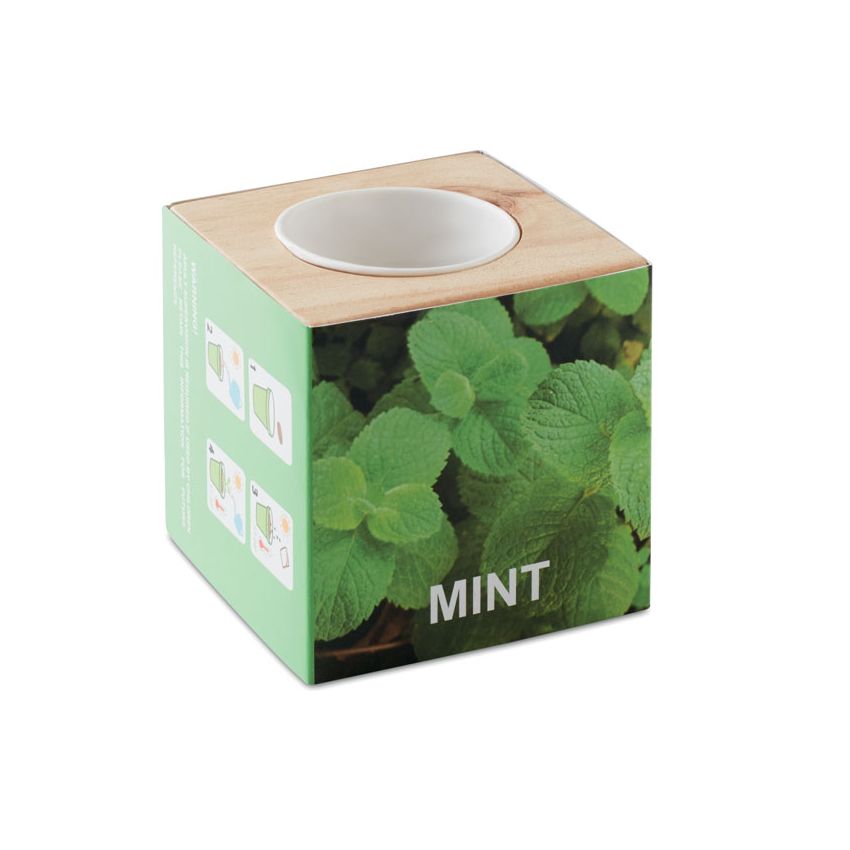 Mint Seed Holder