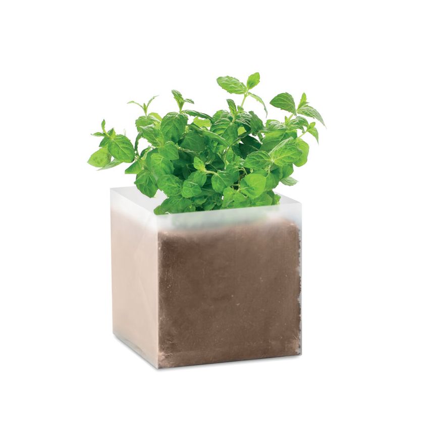 Mint Seed Mix