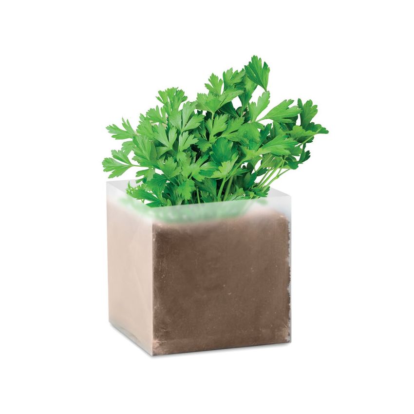 Compound Parsley Seeds